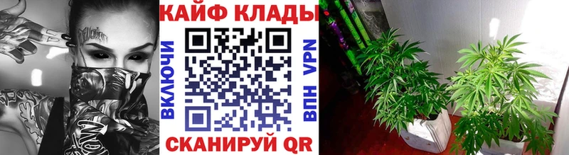 Купить закладку Сосновоборск БУТИРАТ Галлюциногенные грибы АМФЕТАМИН omg ССЫЛКА Мефедрон Alpha PVP COCAIN ГАШИШ Бошки Шишки