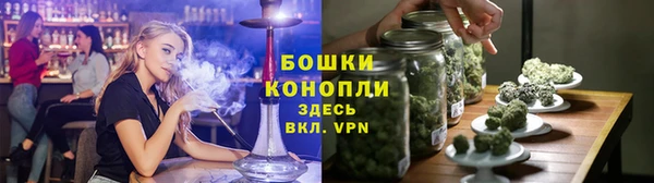 сатива Алексин