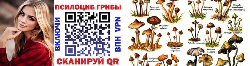 Галлюциногенные грибы GOLDEN TEACHER  закладки  Сосновоборск 